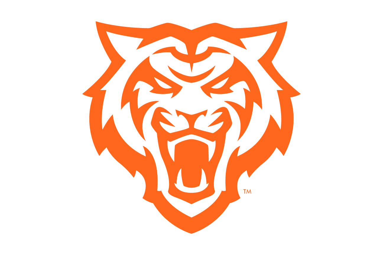 tiger head, Roarange Light, 2-color variant, cell 7