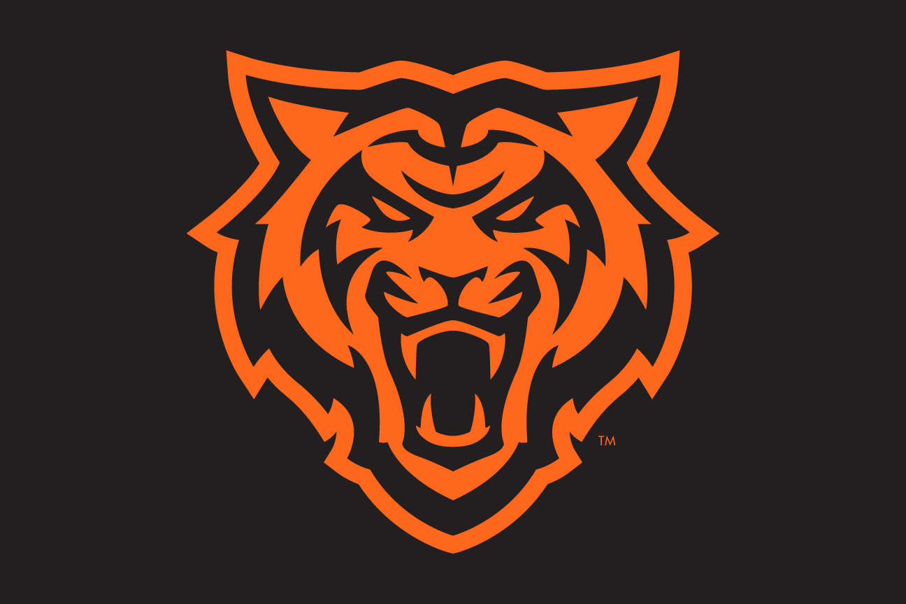 tiger head, Roarange, 2-color, black background variant, cell 8