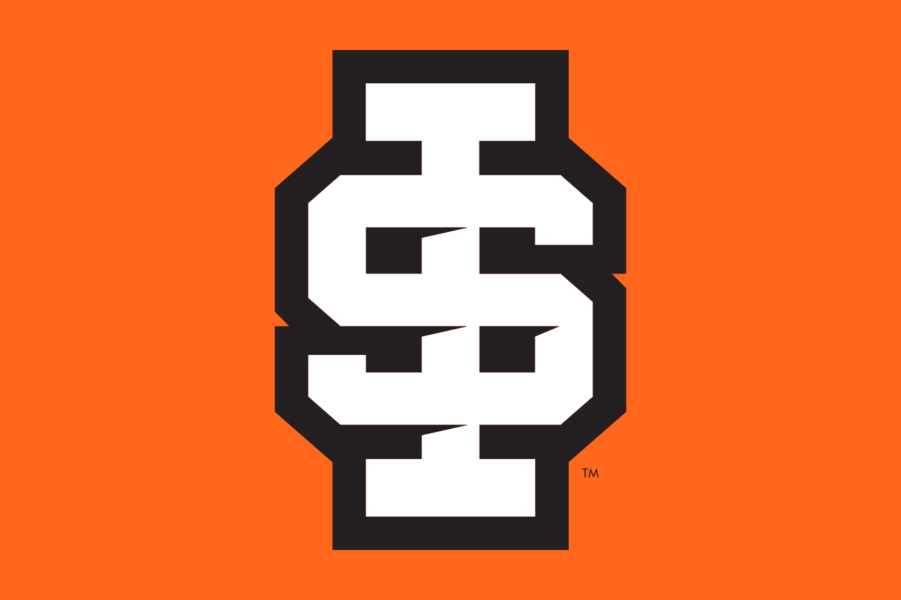 IS lettermark, Roarange/Black, orange background variant, cell 21