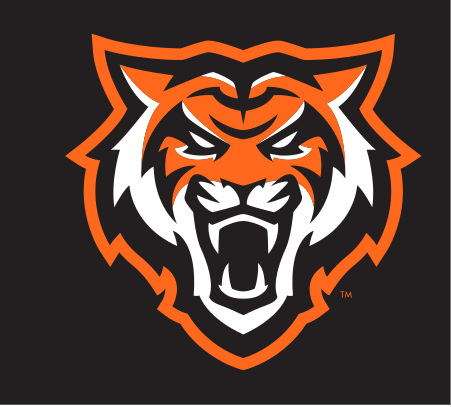tiger head, Roarange, black background variant, cell 2