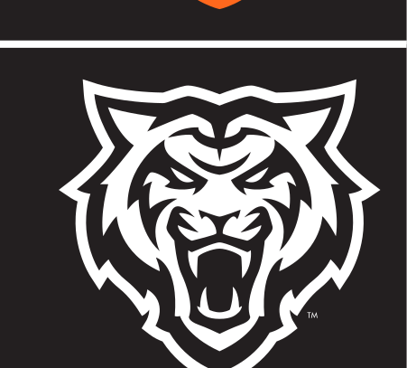 tiger head, White, 2-color, black background variant, cell 11