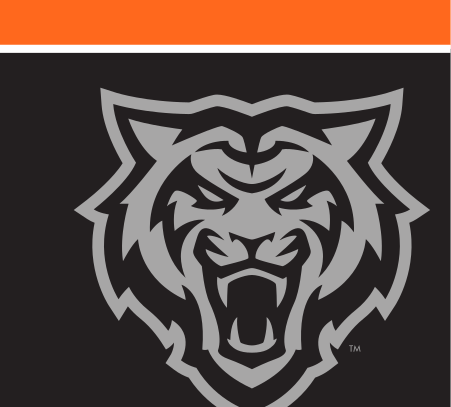 tiger head, White/Gray, 2-color, black background variant, cell 12