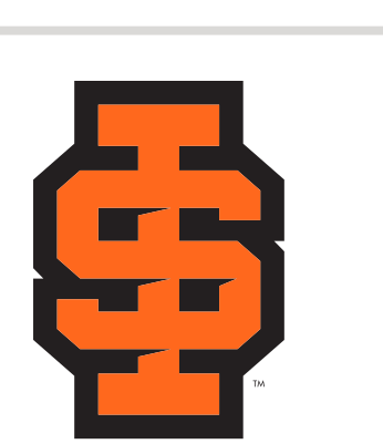IS lettermark, Roarange/Black variant, cell 19