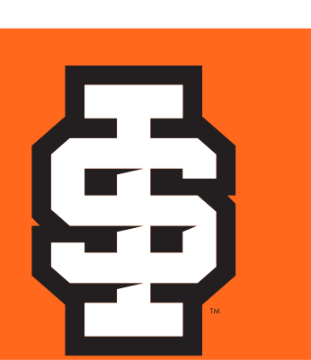 IS lettermark, Roarange/Black, orange background variant, cell 21