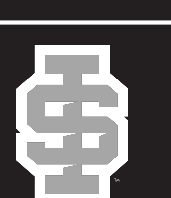 IS lettermark, White/Gray, black background variant, cell 23