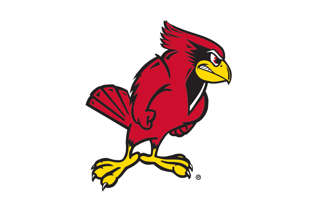 full-body Redbird, full color on white variant, cell 8