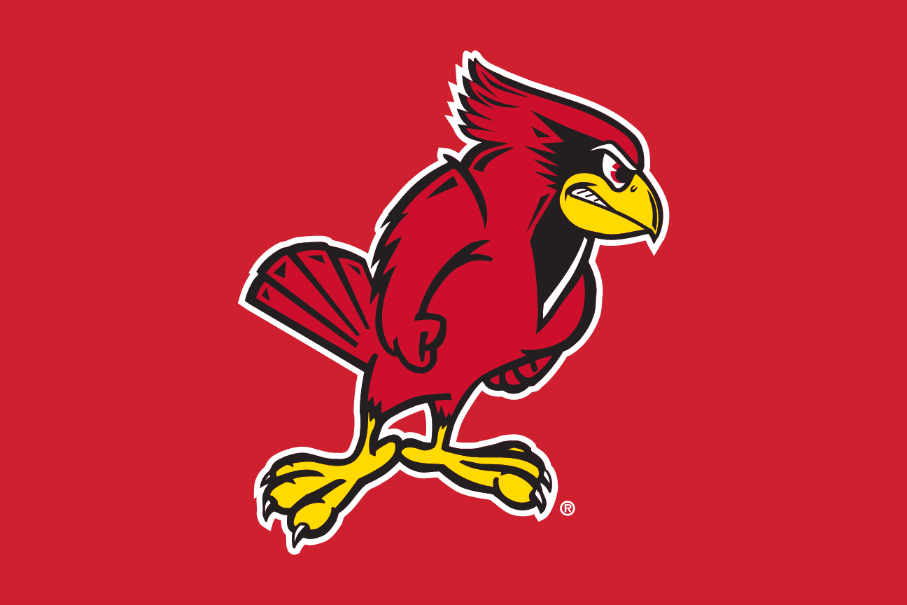full-body Redbird, full color on red variant, cell 9