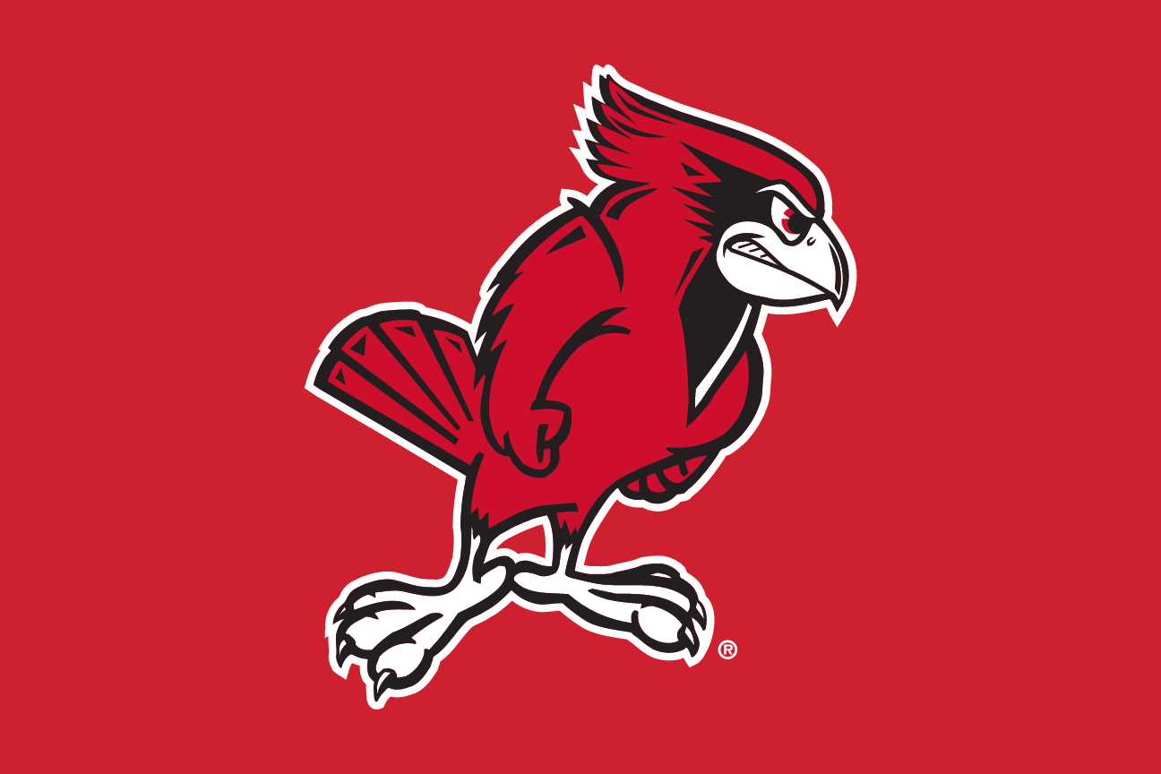 full-body Redbird, black/white/red on red variant, cell 11