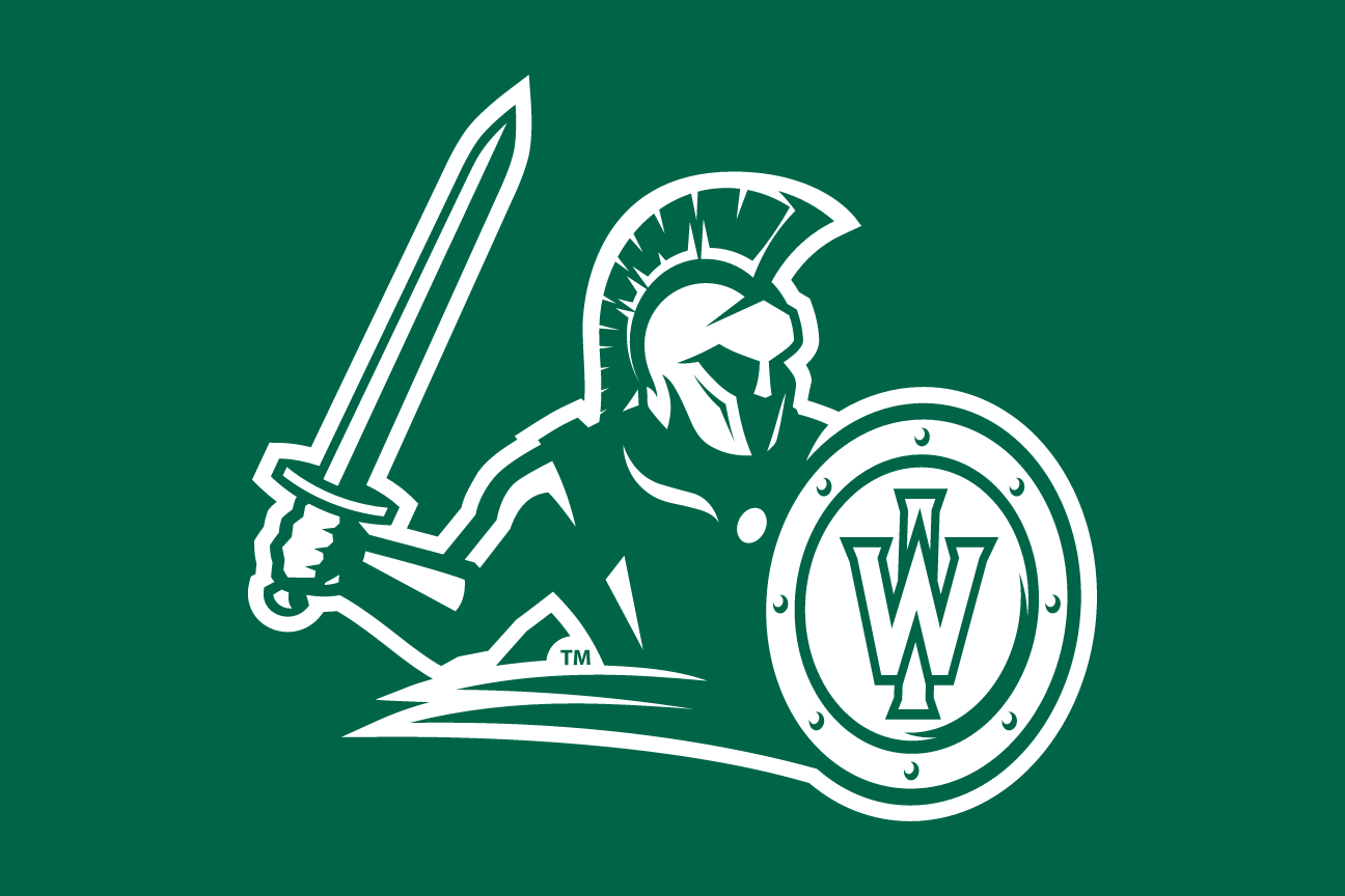 full mascot with shield and sword, white on green background variant, cell 8