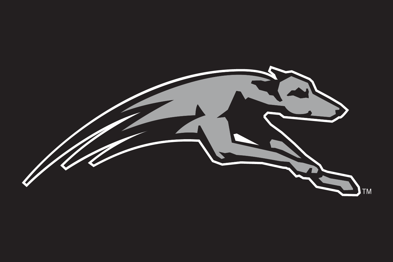 Greyhound mascot head, grey/black variant, cell 29
