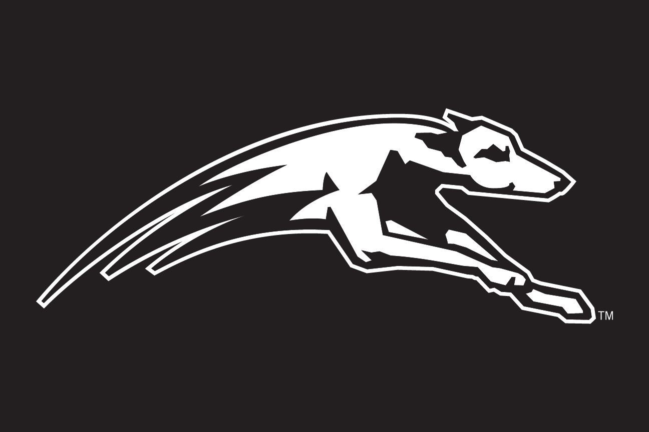 Greyhound mascot head, reverse variant, cell 31