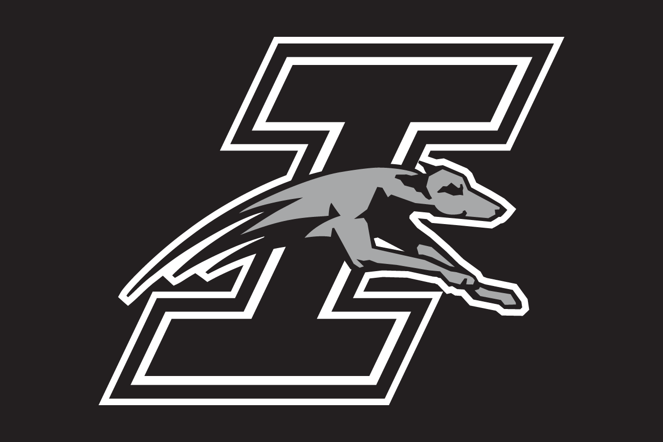 'I' lettermark with Greyhound, black on black variant, cell 35