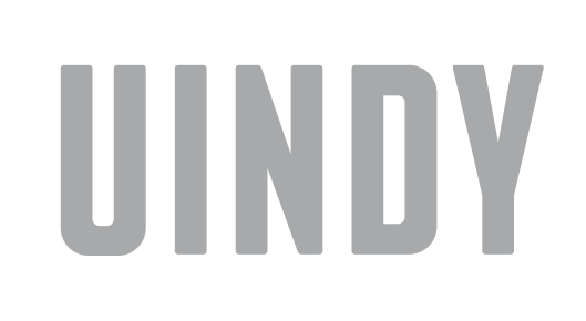 UINDY wordmark, gray variant, cell 2