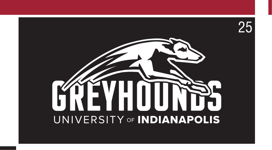 Greyhound mascot with wordmark, reverse variant, cell 25