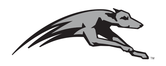 Greyhound mascot head, grey variant, cell 28