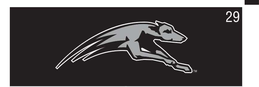 Greyhound mascot head, grey/black variant, cell 29