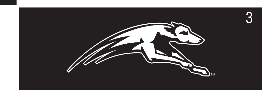 Greyhound mascot head, reverse variant, cell 31