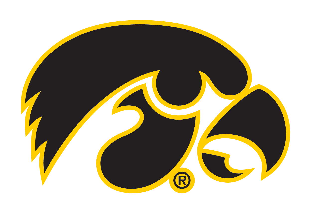 Tigerhawk, black with gold outline variant, cell 4