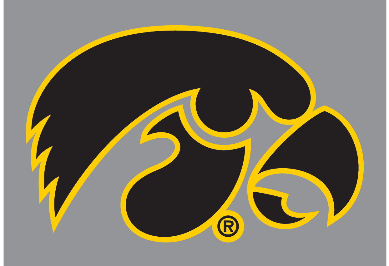 Tigerhawk, black with gold outline on light background variant, cell 5