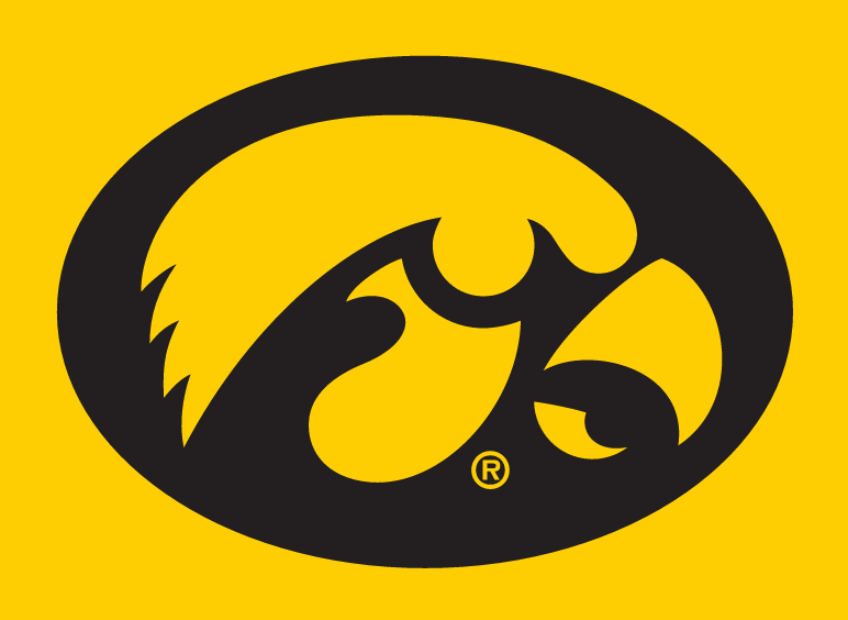 Iowa Hawkeyes Oval Primary Mark, Black and Gold on Gold Background variant, cell 2
