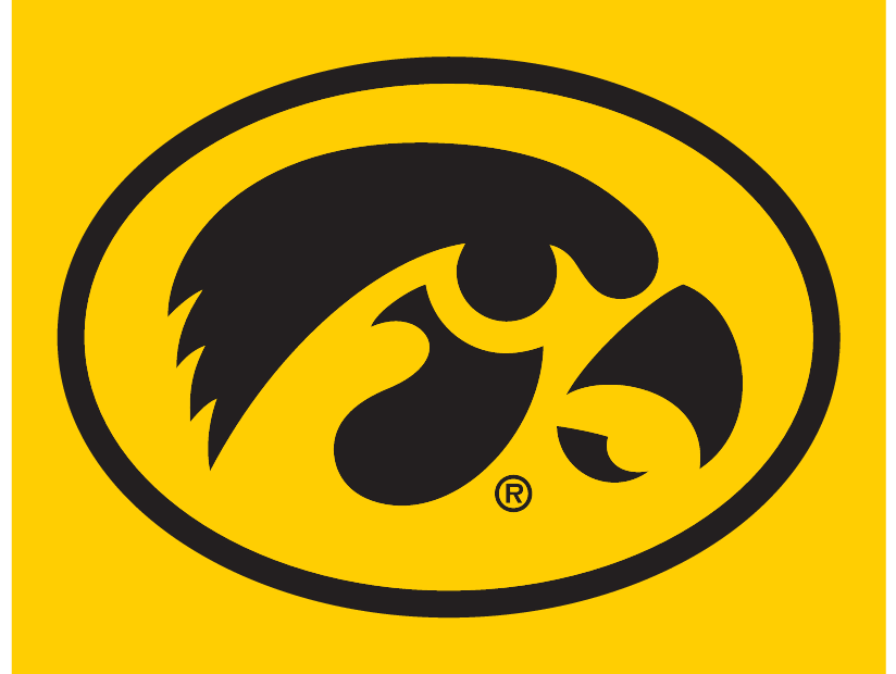 Iowa Hawkeyes Oval Primary Mark, Black and Gold on Gold Background variant, cell 5