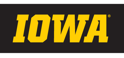 IOWA wordmark, yellow, italic variant, cell 9