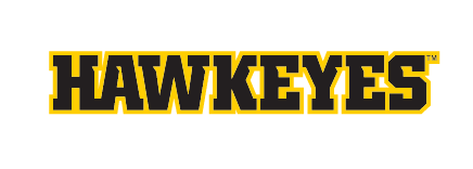 HAWKEYES wordmark, yellow with black outline variant, cell 11