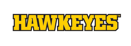 HAWKEYES wordmark, yellow with black outline variant, cell 12