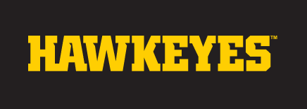 HAWKEYES wordmark, yellow variant, cell 14