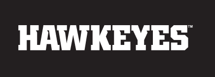 HAWKEYES wordmark, white variant, cell 15