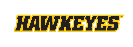 HAWKEYES wordmark, yellow with black outline, italic variant, cell 16