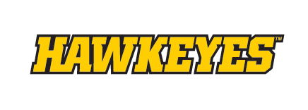 HAWKEYES wordmark, yellow with black outline, italic variant, cell 17
