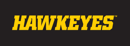 HAWKEYES wordmark, yellow, italic variant, cell 19