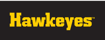 Hawkeyes wordmark, yellow variant, cell 24