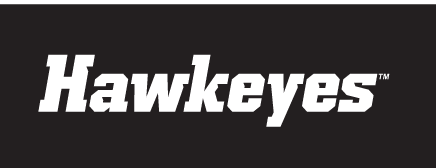 Hawkeyes wordmark, white, italic variant, cell 30