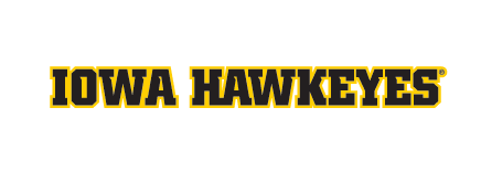 IOWA HAWKEYES wordmark, yellow with black outline variant, cell 31