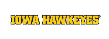 IOWA HAWKEYES wordmark, yellow with black outline variant, cell 32