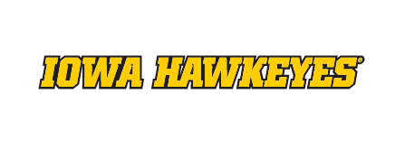 IOWA HAWKEYES wordmark, yellow with black outline, italic variant, cell 37