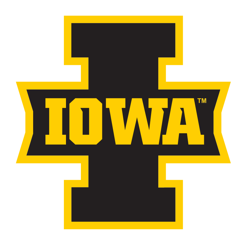 Iowa Hawkeyes logo, black and gold variant, cell 3