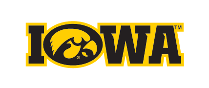 Iowa Tigerhawk Wordmark, Yellow/Black variant, cell 1