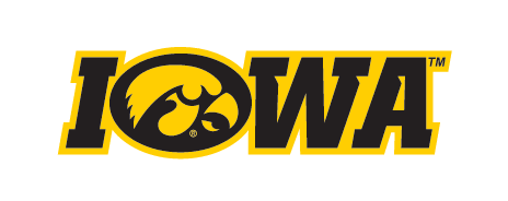 Iowa Tigerhawk Wordmark, Yellow/Black Italic variant, cell 5