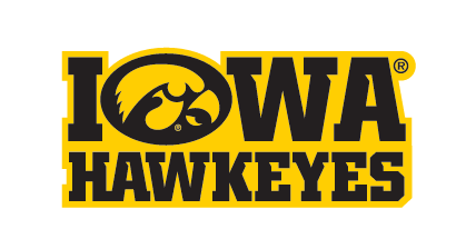 Iowa Hawkeyes Tigerhawk Wordmark, Yellow/Black Stacked variant, cell 9
