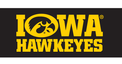 Iowa Hawkeyes Tigerhawk Wordmark, Yellow/Black Stacked on Black variant, cell 11