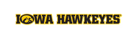Iowa Hawkeyes Tigerhawk Wordmark, Yellow/Black Horizontal variant, cell 13