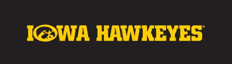Iowa Hawkeyes Tigerhawk Wordmark, Yellow/Black Horizontal on Black variant, cell 15
