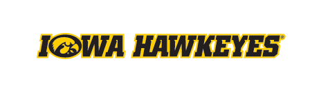 Iowa Hawkeyes Tigerhawk Wordmark, Yellow/Black Horizontal Italic variant, cell 17