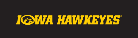 Iowa Hawkeyes Tigerhawk Wordmark, Yellow/Black Horizontal Italic on Black variant, cell 19