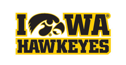 Iowa Hawkeyes Tigerhawk Wordmark, Yellow/Black Stacked variant, cell 29