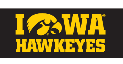 Iowa Hawkeyes Tigerhawk Wordmark, Yellow/Black Stacked on Black variant, cell 31