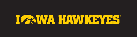 Iowa Hawkeyes Tigerhawk Wordmark, Yellow/Black Horizontal on Black variant, cell 35